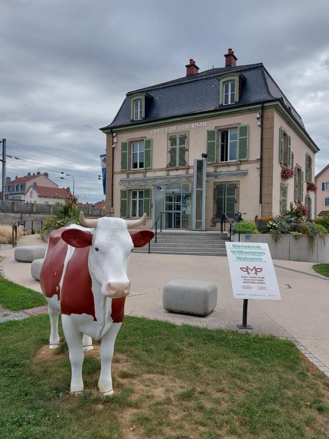 Appart' Duchatelain Lumineux, Vue Sur Chateau Montbéliard Extérieur photo
